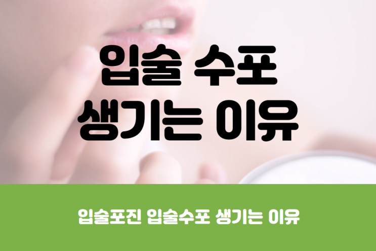  입술 오돌토돌 수포 생기는 이유