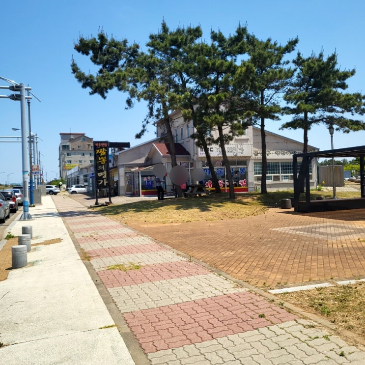  군산 밥집 갑오징어탕수육이 있는 비응반점