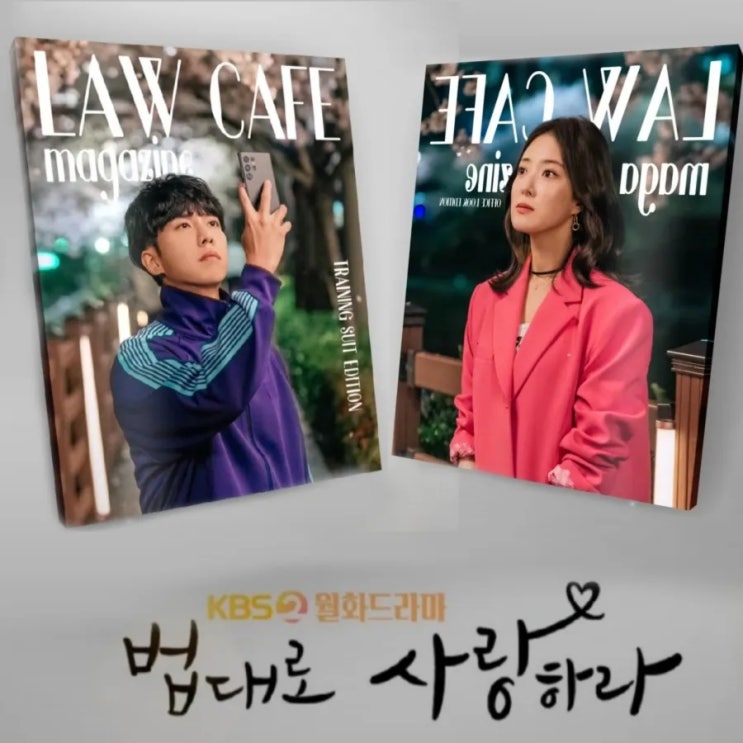 법대로 사랑하라 출연진 및 원작 몇부작 정보 KBS 월화드라마 미남당 후속