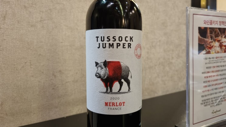  Tussock Jumper Merlot, 2020
