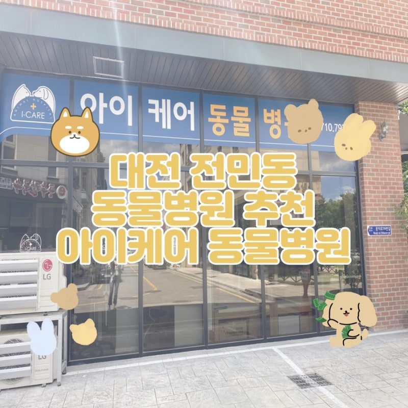 오타 동물병원 개 항문에서 피가 납니다 / 항문낭염, 항문낭 파열 [24시 대전 동물메디컬센터 숲]