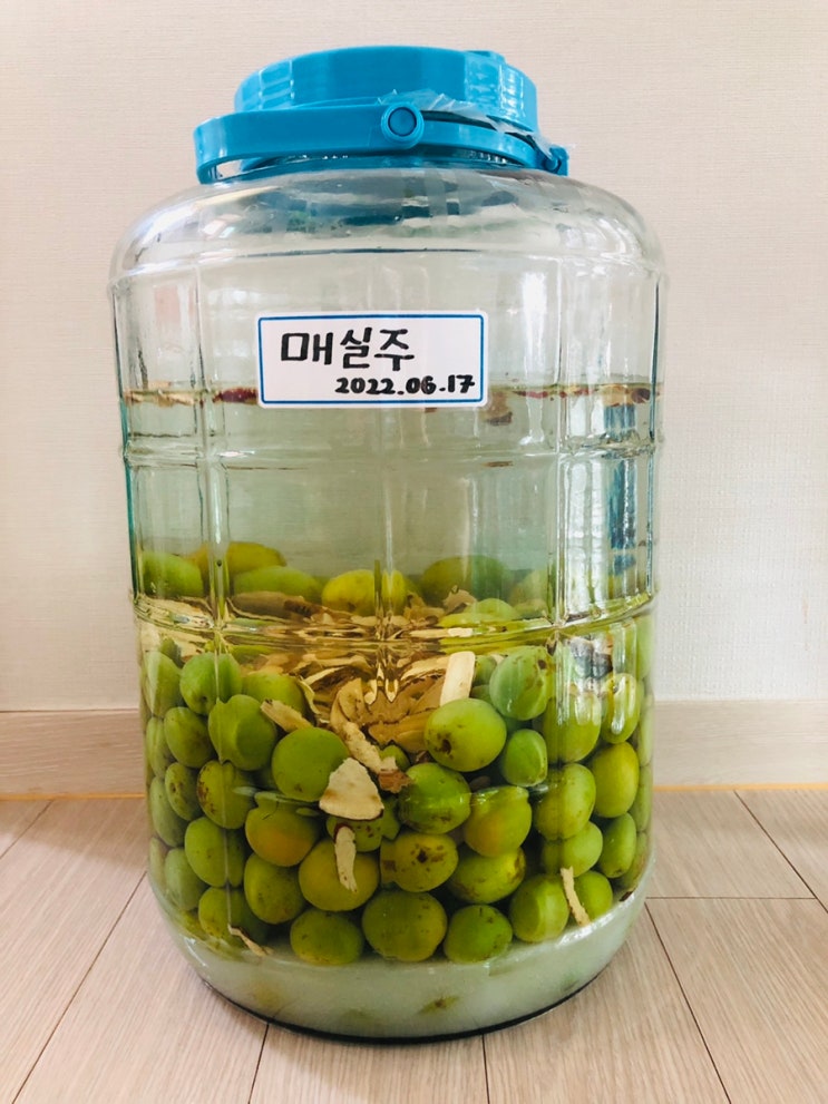  매실주 매실담그주 만들기 담금주 비율 효능