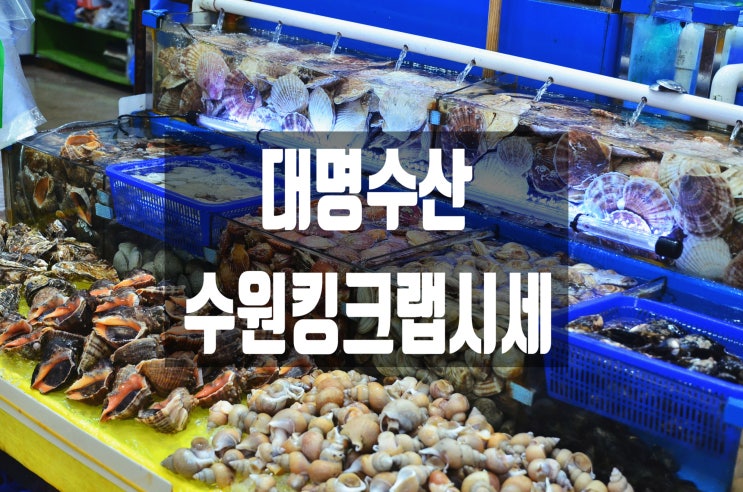 수원 수산시장 추천! 대명수산 킹크랩 대게 가격 및 주차정보