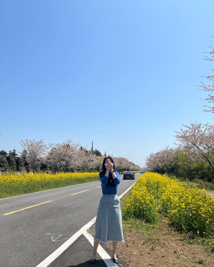  [다또제] 제 블로그에 오신 걸 환영합니다!