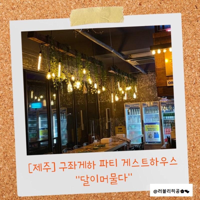제주도 게스트하우스, 구좌 파티게스트하우스 "달이머물다" 숙박 및 파티후기!