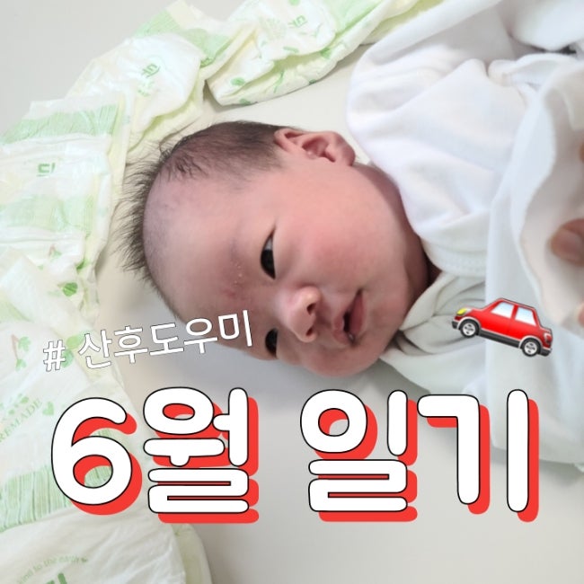  [6월 일상] 산후도우미, 30일 신생아 터미타임, 외출, 아기수영장