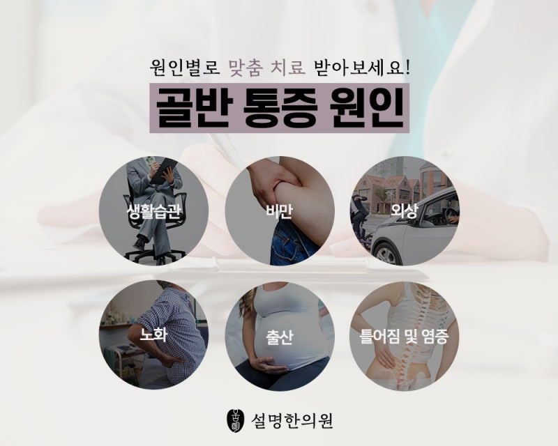 목동역골반통증 원인에 맞도록 1