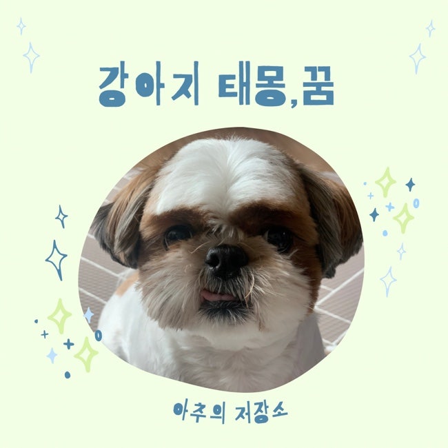 강아지 / 개 / 태몽 / 꿈 / 해몽 / 의미 / 풀이 / 해석 / 길몽 / 흉몽 / 4편