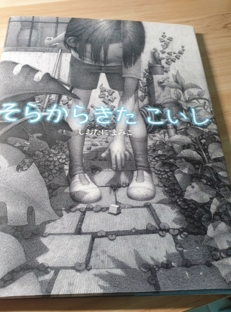 일본 그림책 원서, 파파고 번역기로 읽기 &lt;하늘에서 온 작은 돌&gt;
