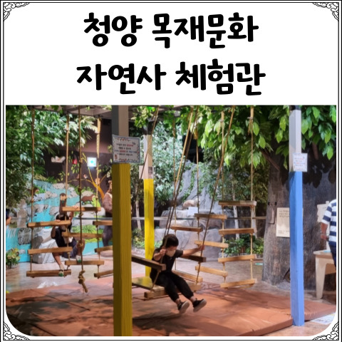  청양 목재문화자연사체험관: 청양 박물관 아이와 가볼만한곳