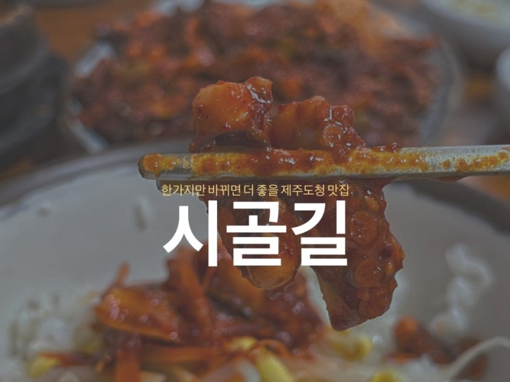  <제주 시골길> 한가지만 바뀌면 더 좋을 제주도청 낙지볶음 맛집