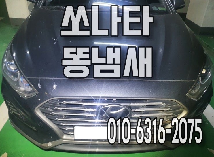  동탄세차 자동차똥냄새 시트분해세척 받아요 쏘나타