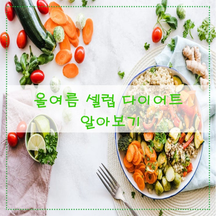  올여름 셀럽 다이어트 알아보기