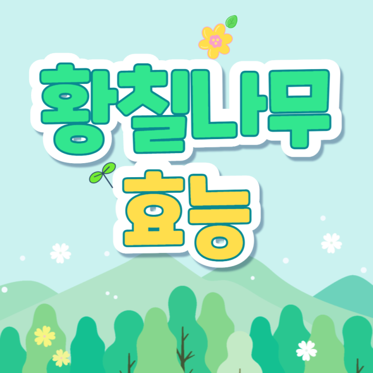황칠나무10가지 효능 황칠나무잎분말 부작용 황칠나무10가지 효능 황칠나무잎분말 부작용