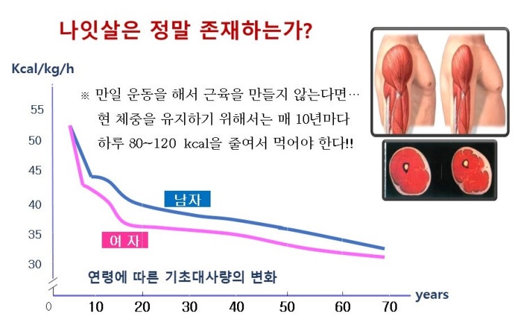  저근육형비만, 사르코페니아(Sarcopenia)와 토피(Tofi)족, 나잇살은 존재하는가?