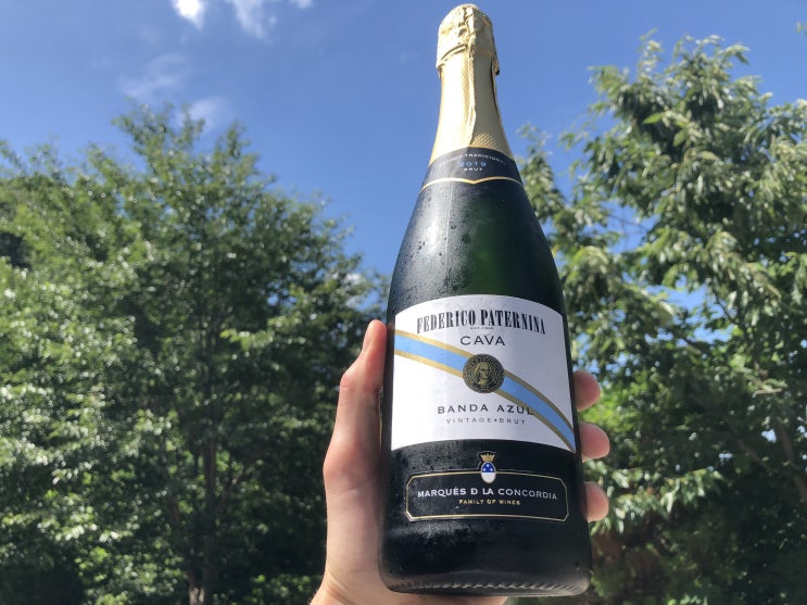  가성비 좋은 스파클링와인 " 페데리코카바브뤼 "
