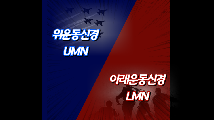 위운동신경(UMN), 아래운동신경(LMN) 간단 정리
