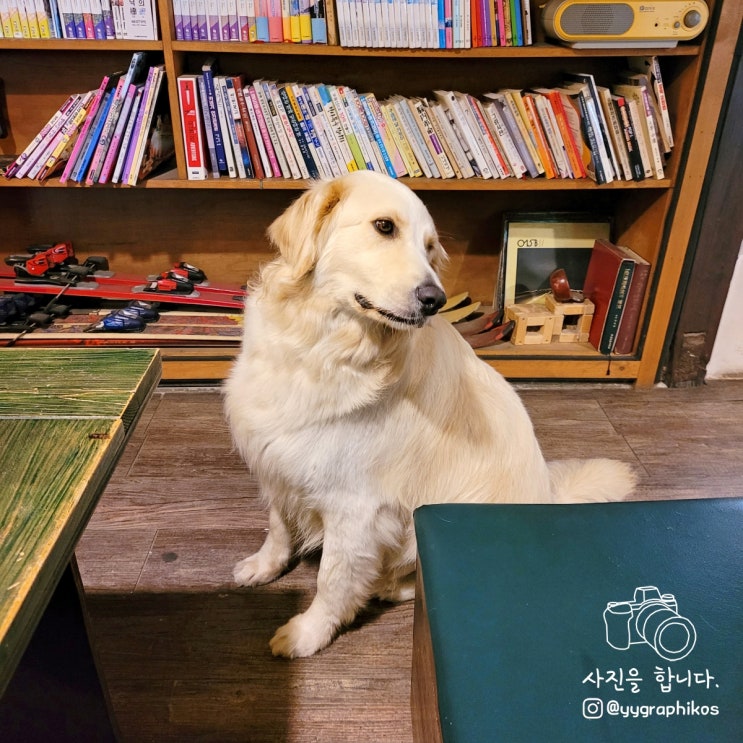  [경기도 포천시 내촌면] 내리 로스팅, 핸드드립 카페 - 더풍경