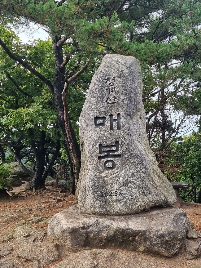  [블랙야크 BAC#1 청계산 매봉 등산코스]