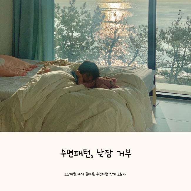  22개월 아기 수면패턴 바로잡기 2일차 ( 낮잠거부 )