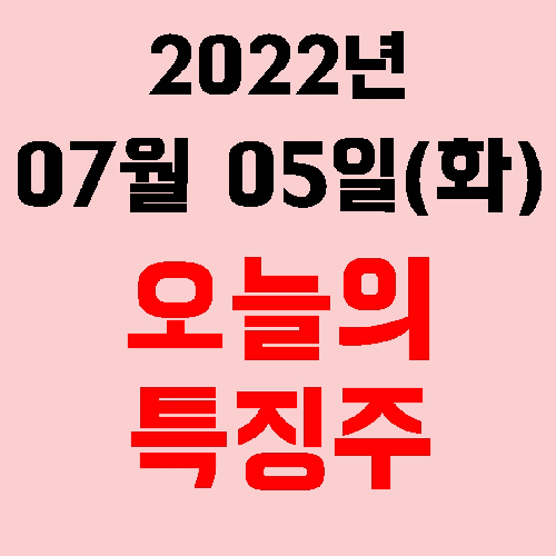  오늘의 시장 특징주 2022년 07월 05일(화)