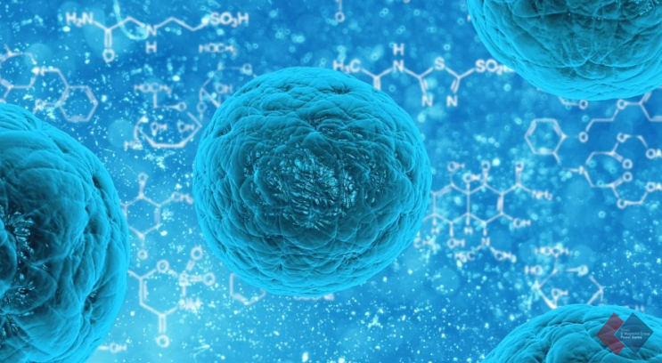  GC녹십자 & 연세대 융합과학기술원 K-NIBRT 업무협약, 바이오산업 이끌 핵심인재 양성