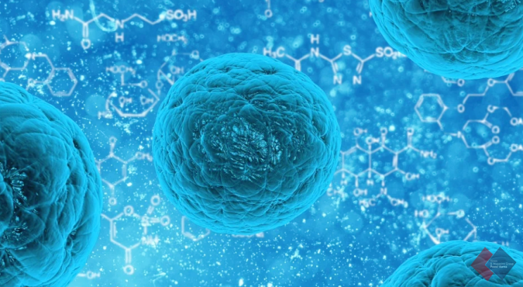 GC녹십자 & 연세대 융합과학기술원 K-NIBRT 업무협약, 바이오산업 이끌 핵심인재 양성