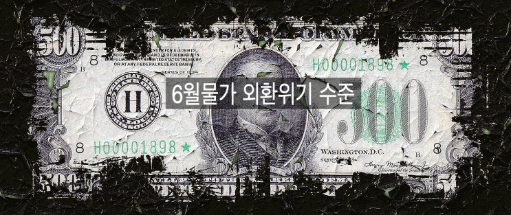  [물가/외환위기] 2022년 6월 대한민국 물가 외환위기