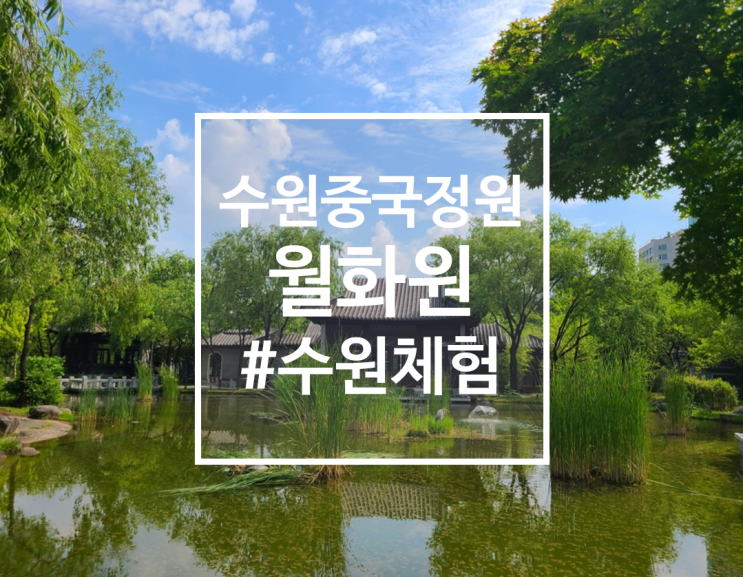  수원 속 작은 중국 정원, 수원 관광지, 월화원