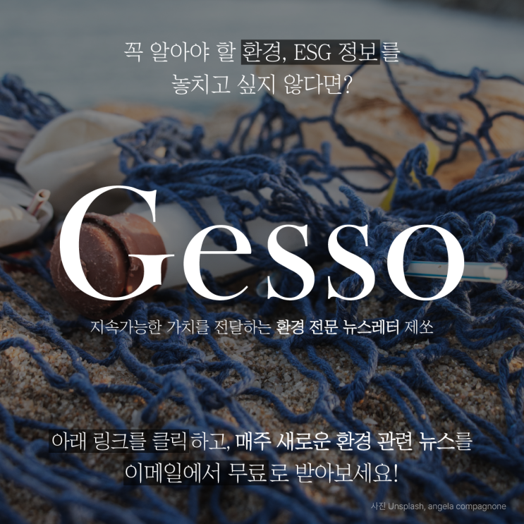 [환경 뉴스] 22년 7월 5일 주요 이슈 브리핑