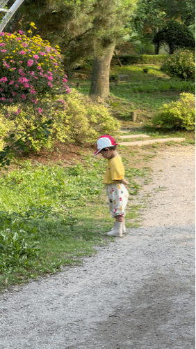  양주 숲길정원 / 식물원 놀이터 / 구 일영 허브랜드 / 주말 서울근교 가볼만한 곳 / 부모님 모시고  가기좋은 카페