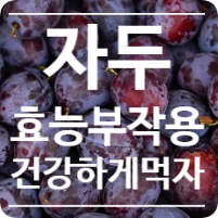  자두 효능 섭취량 부작용 고르는방법 보관방법