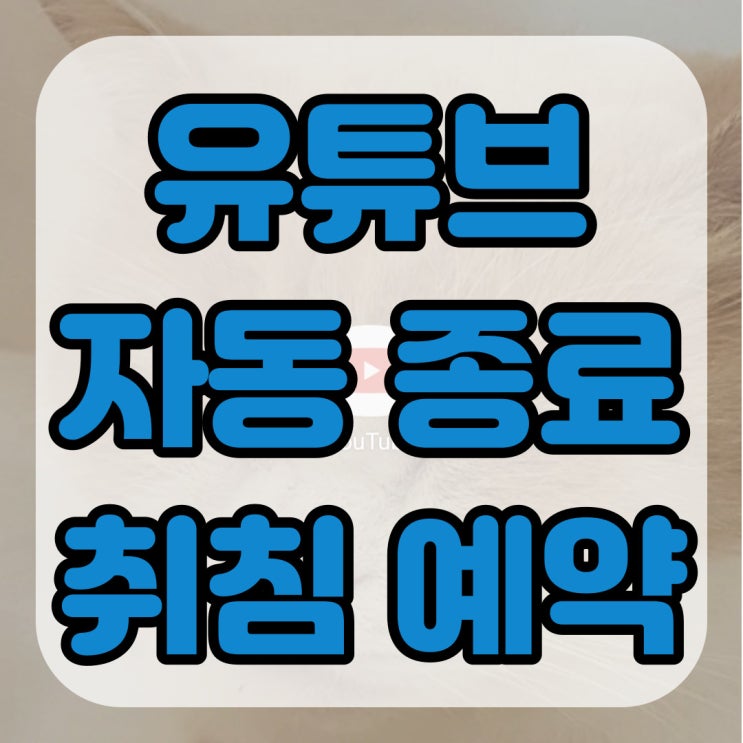  유튜브 자동종류 및 취침예약 잠들기 전에 간단하게 하는 방법