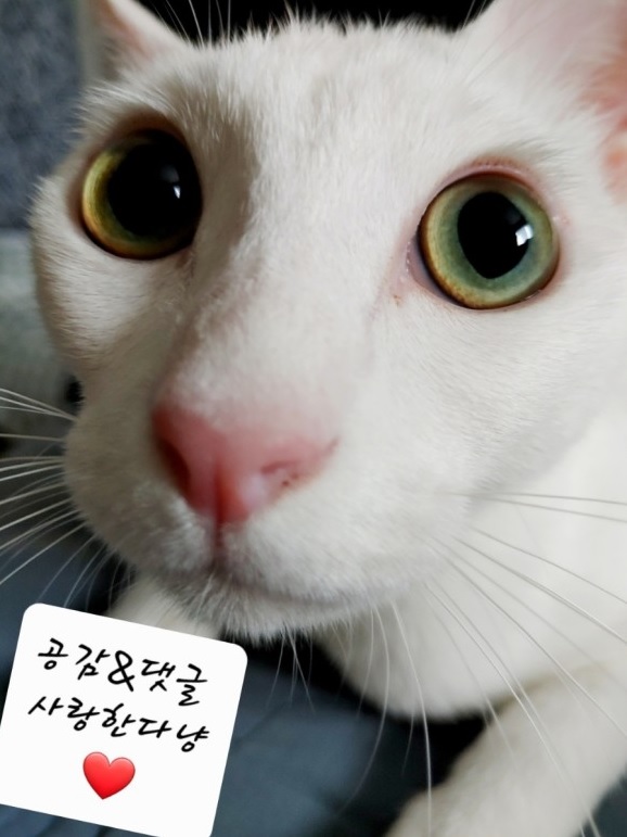  [무협용어] 무협 용어 정리(기본 편 2)