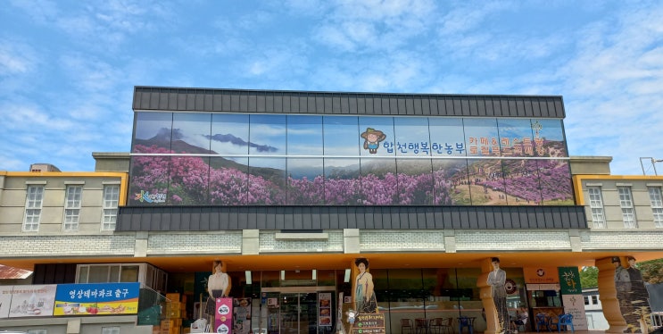  저렴한 가격으로 즐기는 합천영상테마파크 합천 행복한 농부