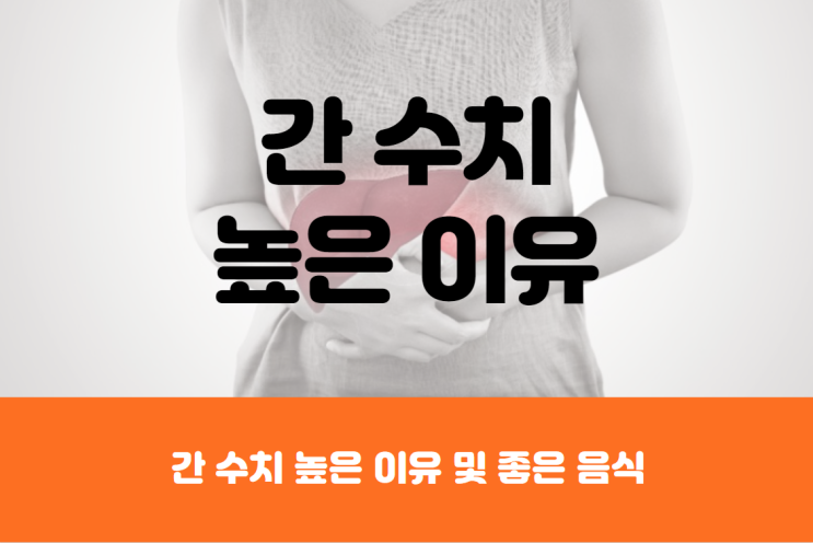  간수치가 높은 이유 및 간수치 낮추는 음식