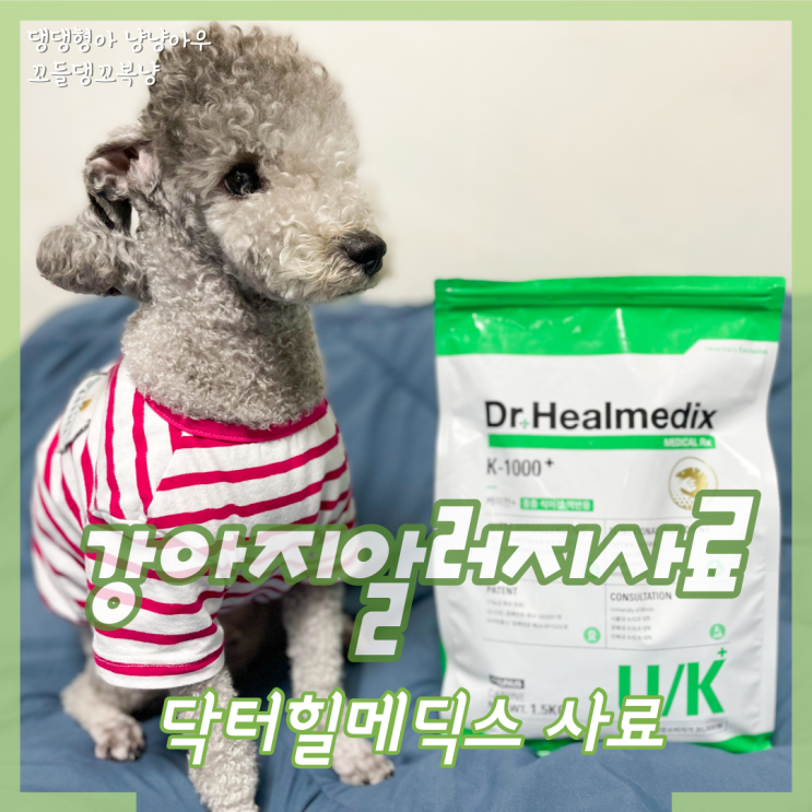  강아지 알러지 심할 땐 닥터힐메딕스 사료로 관리해요