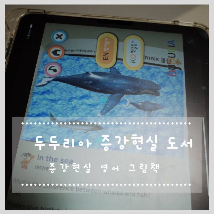  증강현실 영어그림책 두두리아