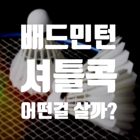  배드민턴 초보라면 셔틀콕 어떤걸 사야할까?