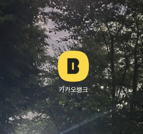  카카오뱅크 비상금대출 연장하는법,연장할 수 있는 기간(ft.이자계산법)
