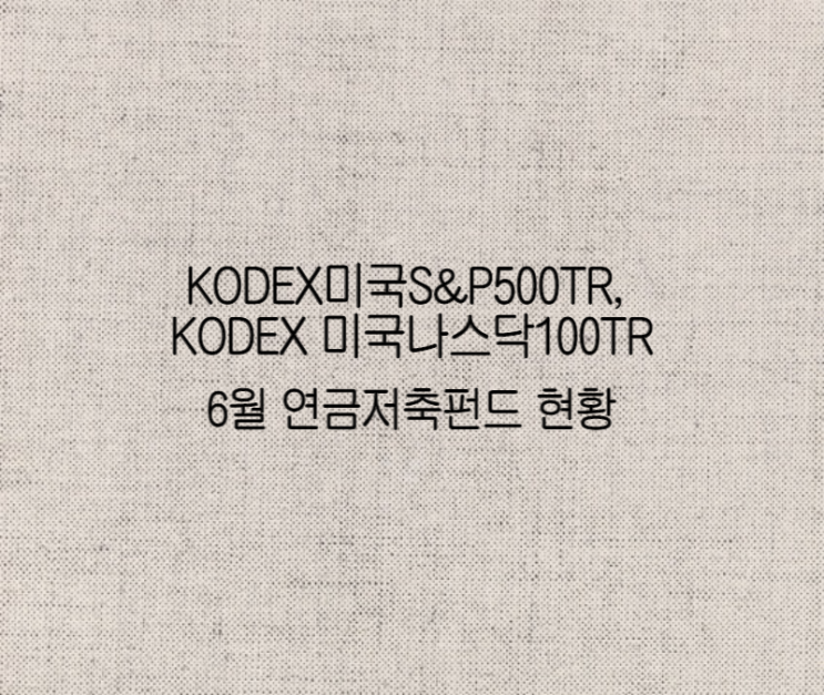 KODEX미국S&P500TR, KODEX 미국나스닥100TR 6월 연금저축펀드 계좌현황