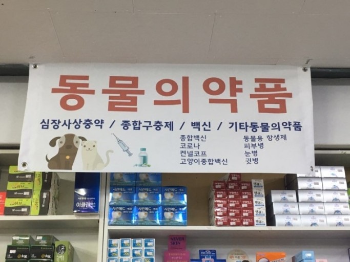 상처치료 복합캐시딘 겔