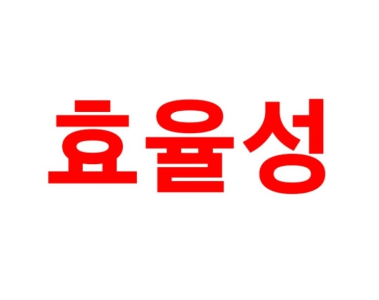  효율성과 형평성의 관계 뜻