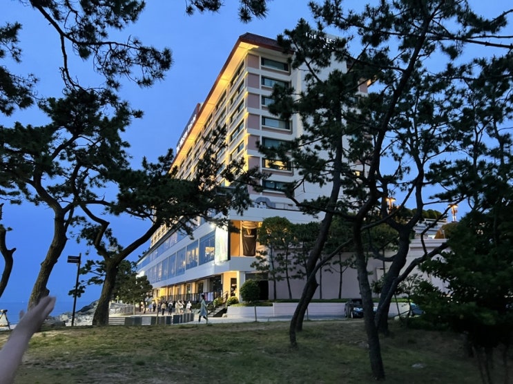  [웨스틴조선 뿌시기] 2탄 웨스틴조선 “부산”편! The Westin Josun Busan