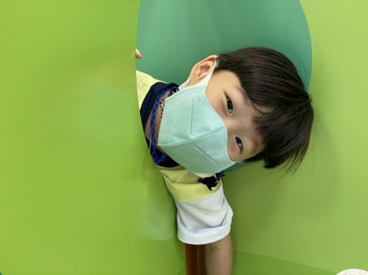  아이랑 가볼만한곳 충북 교육문화원 미술관의 동물원 종이의 발견 무료 전시