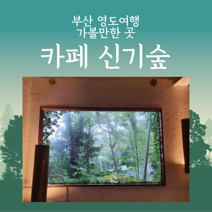  부산 영도여행 신기숲 (자연속 신비로운 카페)