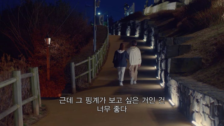 보고 또 보고