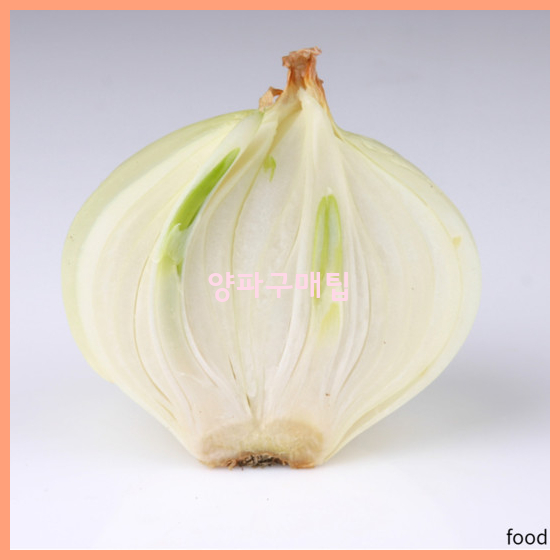  양파의장점 알고 드셔봐요~