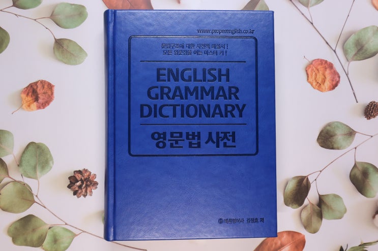  '영문법 사전', 자세한 설명과 다양한 예문으로 영문법을 든든하게 정리한 책, 영작문은 덤.