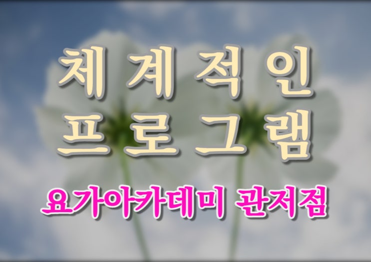  체계적인 운동 프로그램 [요가 아카데미 관저점]
